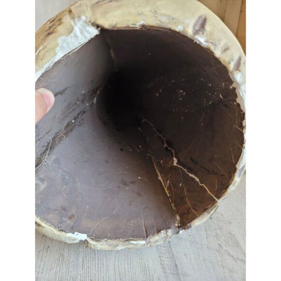 Skull large foam AS IS head Halloween prop home decor bowl unique - Picture 15 of 15